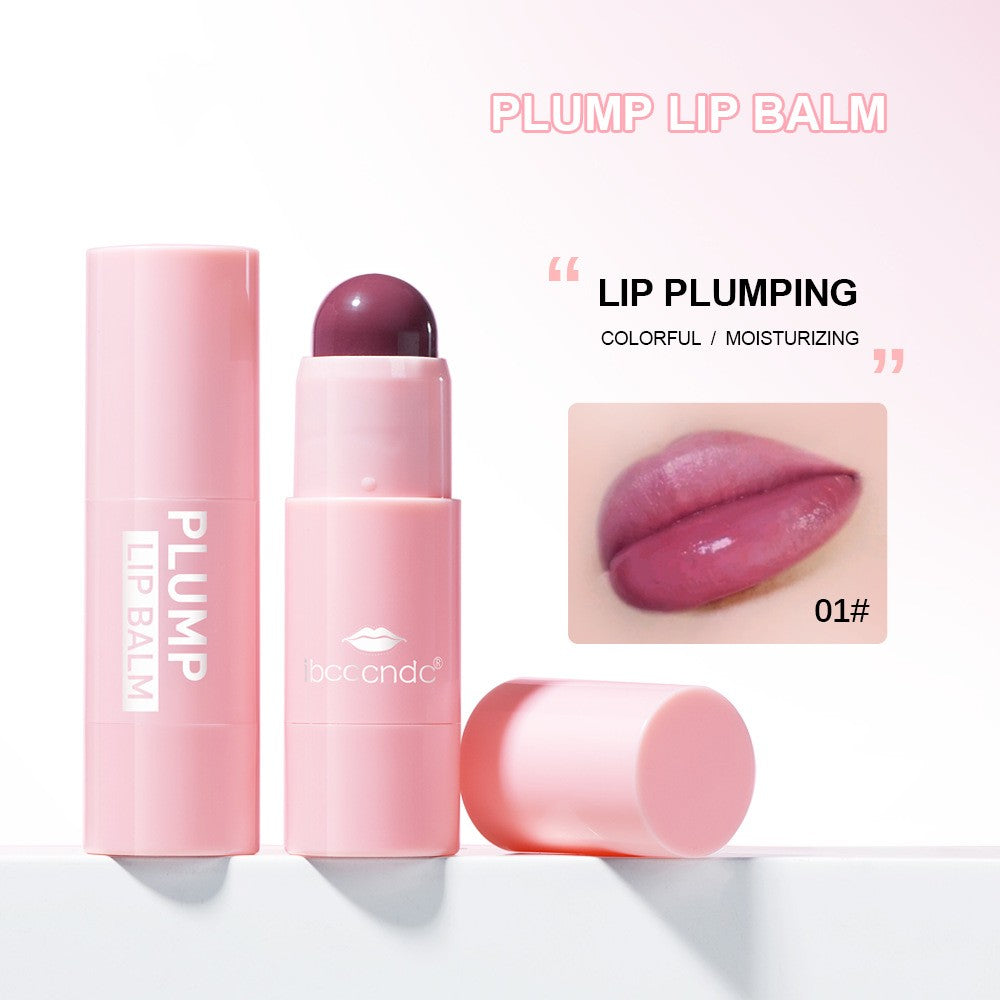 Ibcccndc Women's Velvet Matte Lip Gloss