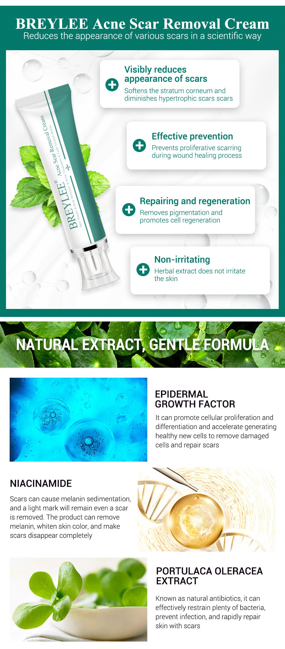 Breylee Skin Nourishing Face Cream
