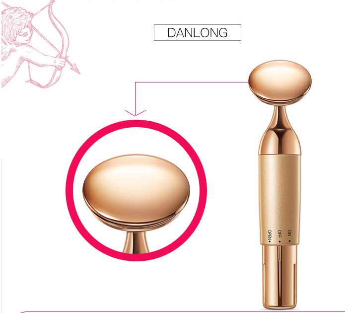 Danlong Beauty Equipment Home Electric Facial Importer