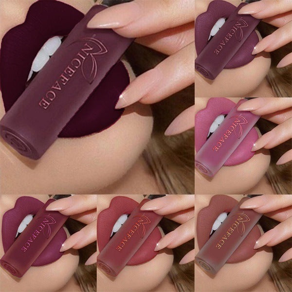 NiceFace 24 color lip gloss