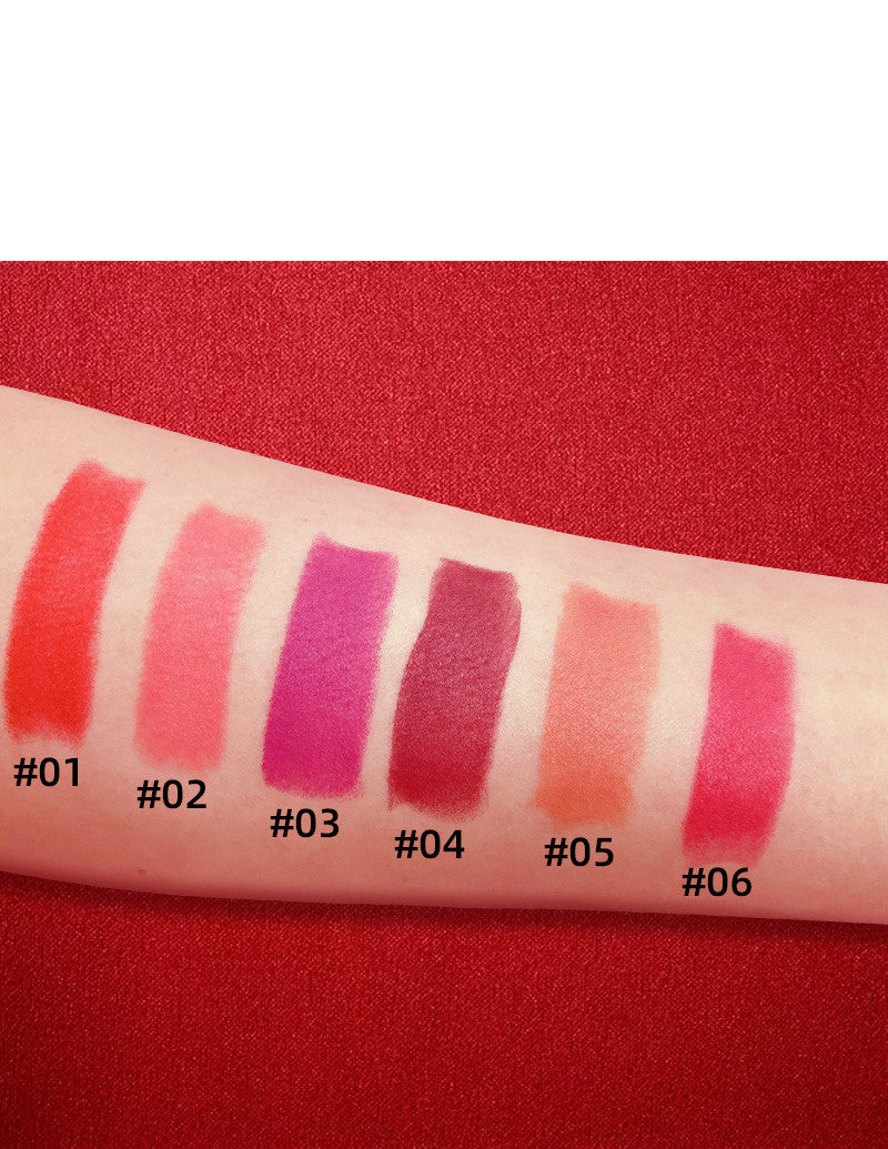 Queen Liplaya Private Label New 6 Colors Luxury Platinum Waterproof Matte Long Lasting Makeup Lipstick