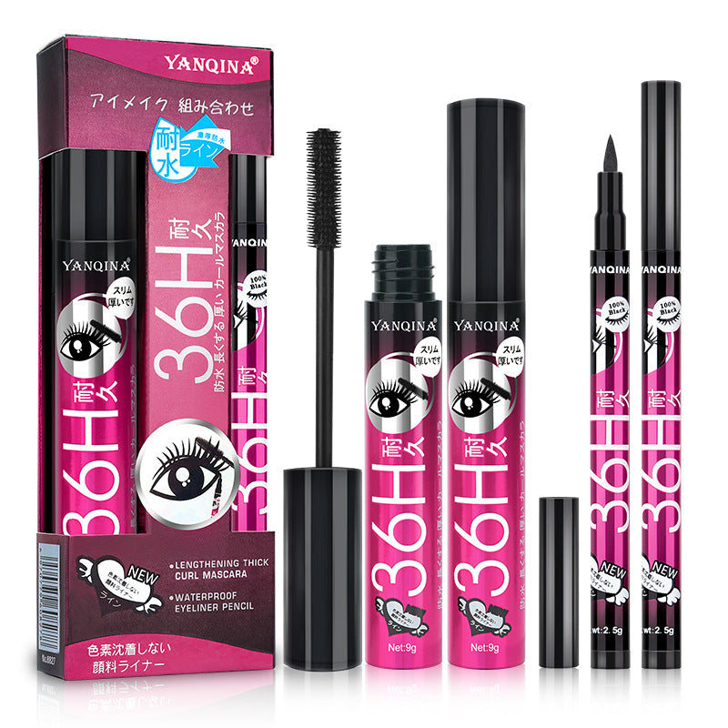 Yanqina Eyeliner and Mascara Combo 2 Makeup Set