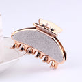 Japanese And Korean Simple Hairpin Matte Lady Hair Scratch