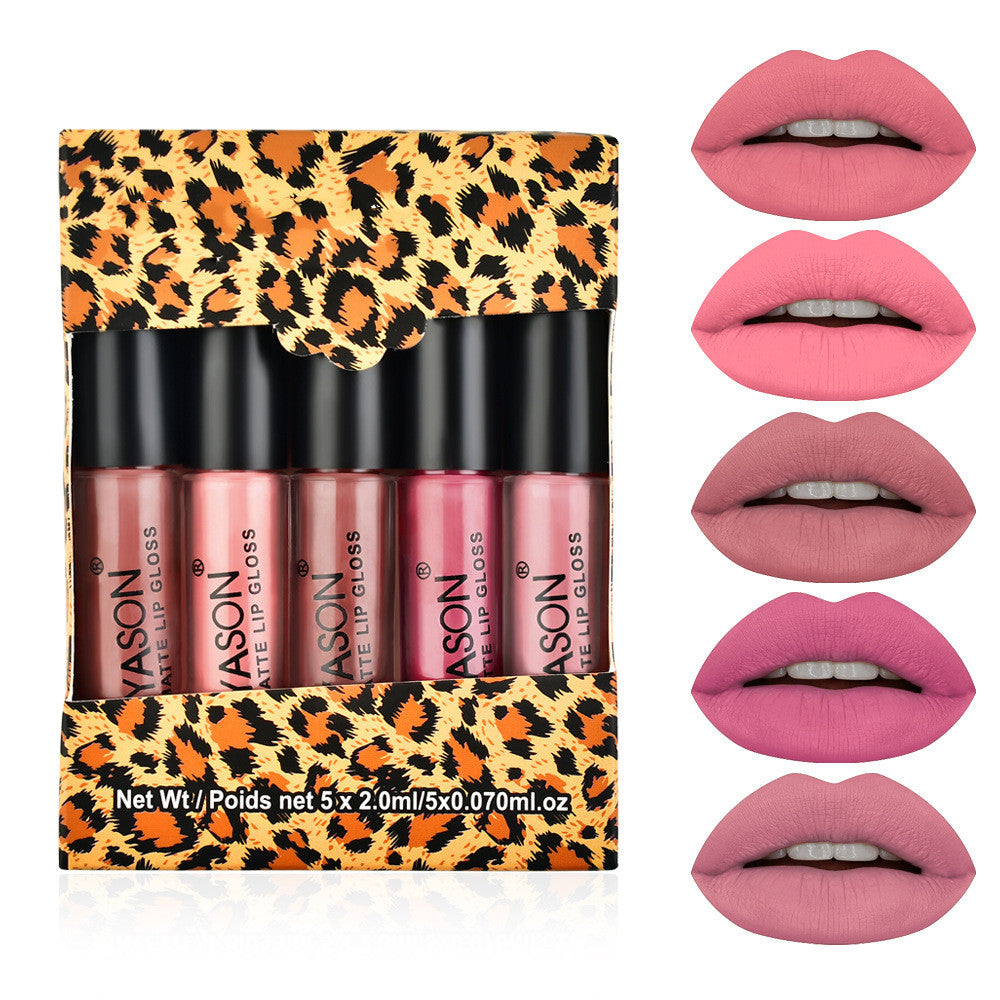 Teayason Mini Box Lip Gloss Lipstick