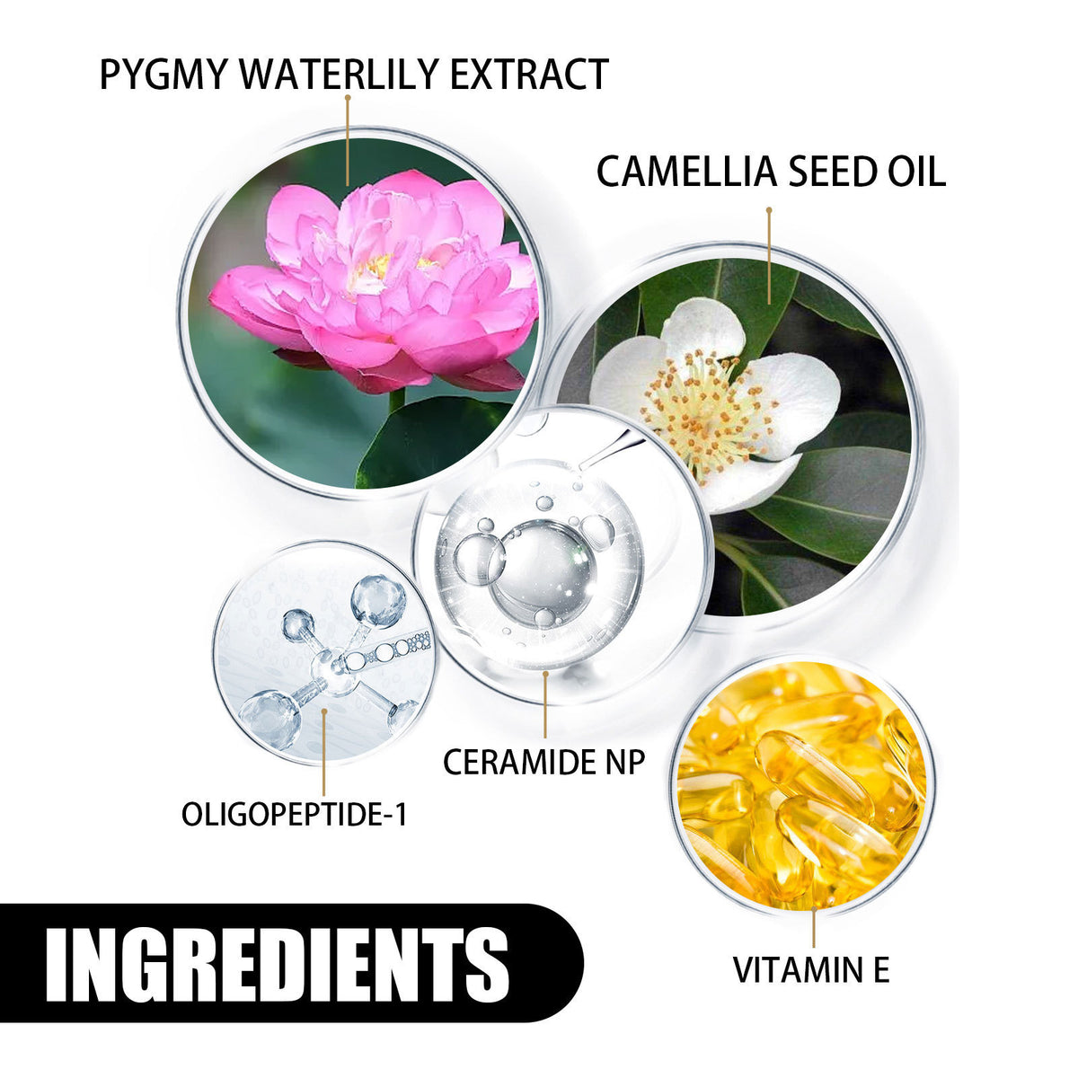 Nourishing Moisturizing Skin Rejuvenation Skin Cream Skin Brightening Brightening Hydrating Easy Absorption Cream