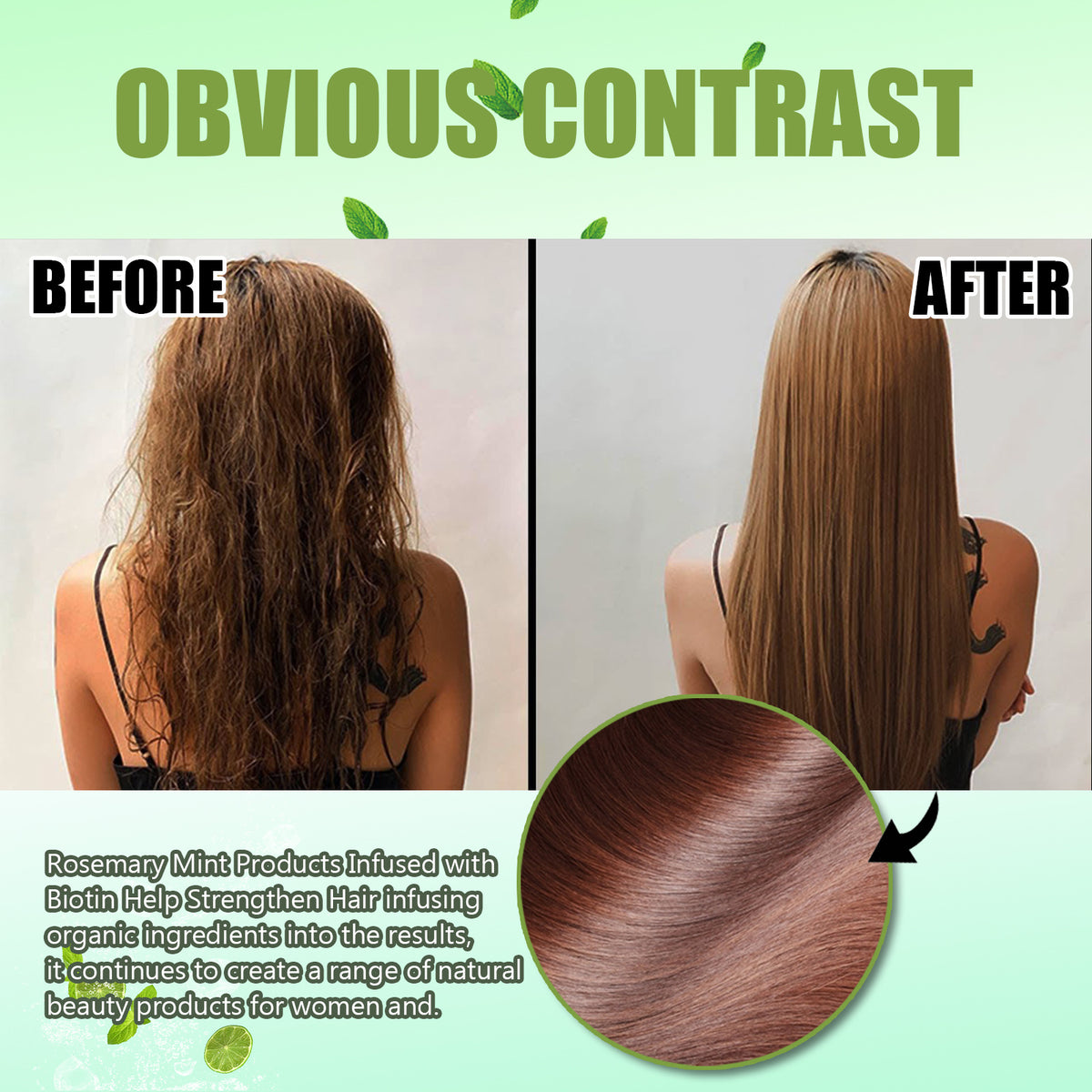 Eelhoe Rosemary Mint Shampoo Moisturizing Supple Hair Nourishing Dry Frizz Refreshing Shampoo Hair Care