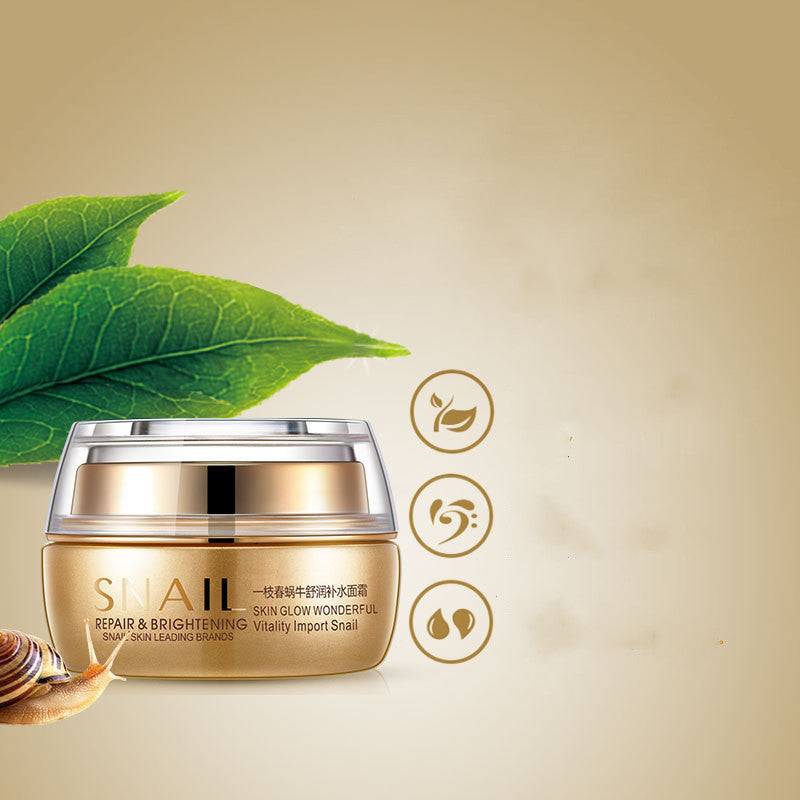Snail Cream moisturizing and refreshing oil control creamCream moisturizing and refreshing oil control cream