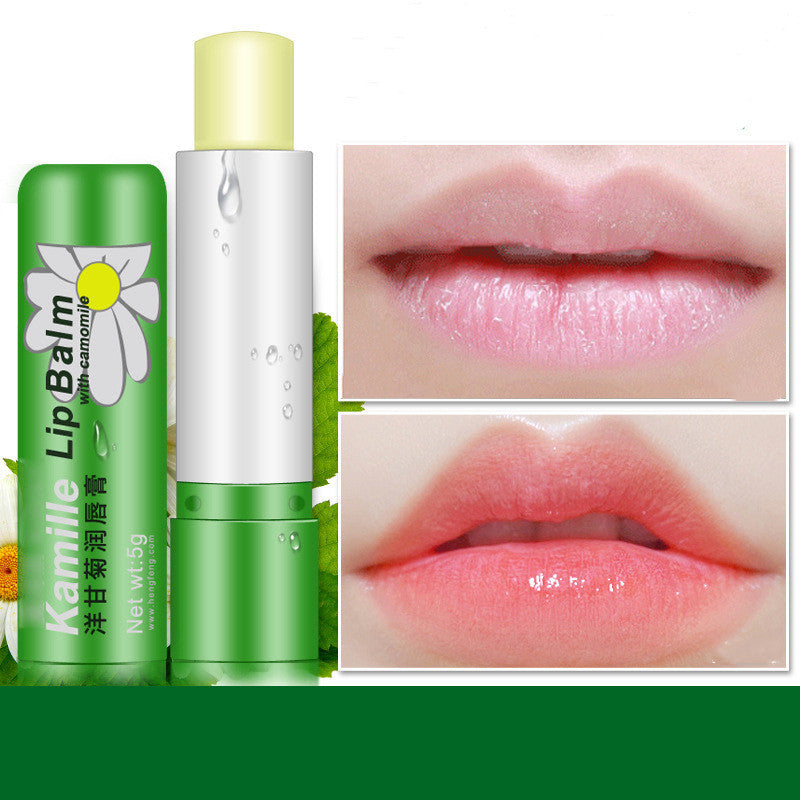 Kamile Natural Moisturizing Nourishing Lip Balm