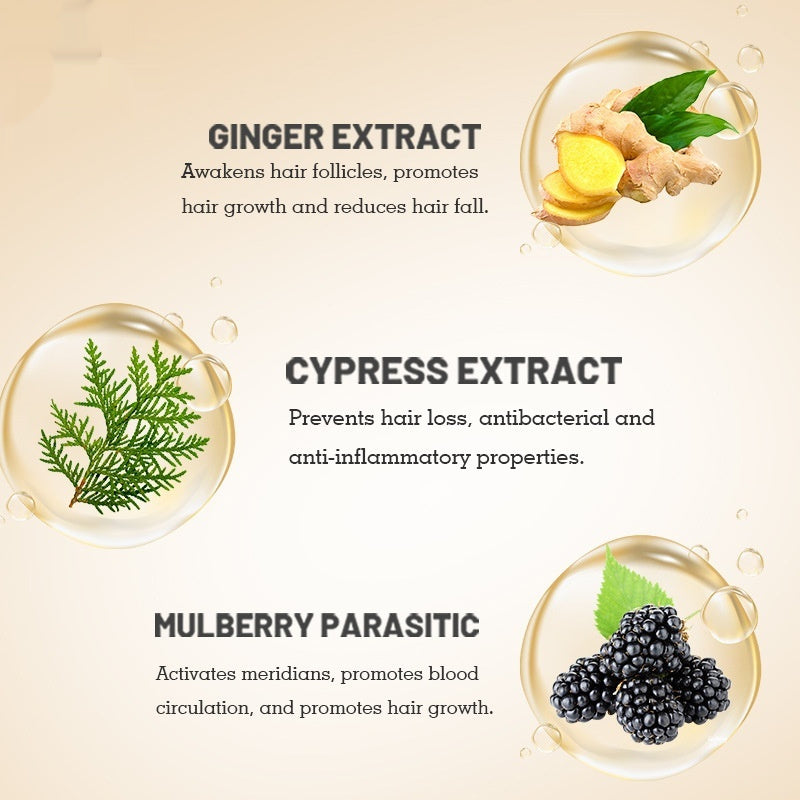 Sevich Ginger Anti-hair Loss Anti-dandruff Anti-hair Loss Dense Hair Care Hair Plant Ginger Shampoo