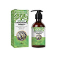 Jaysuing Rosemary Shampoo Can Control Oil Dryness And Rashness