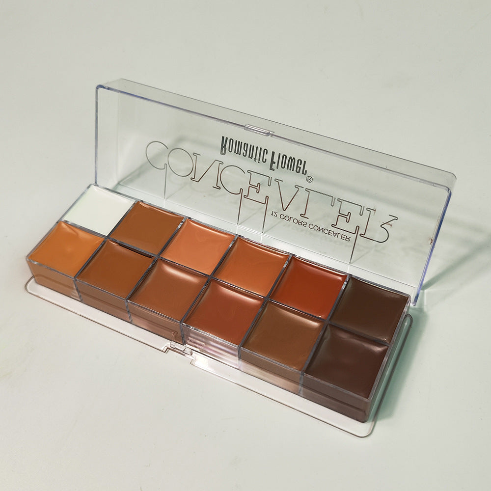 Romentic Flower 12 Colors Concealer Dark Skin Waterproof Full Coverage Foundation