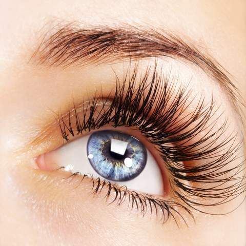 Phoera Women's Home Mascara 3g Cosmetics
