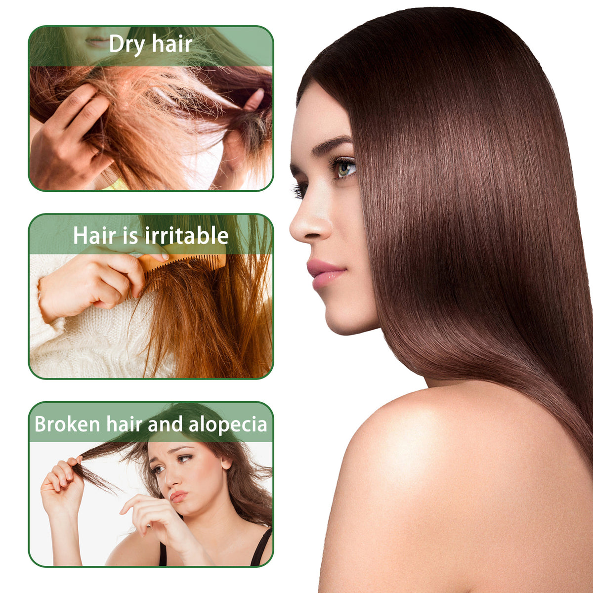 Jaysuing Rosemary Shampoo Can Control Oil Dryness And Rashness