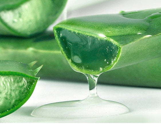 Aloe Vera Gel Skin Care Moisturizing Face Cream