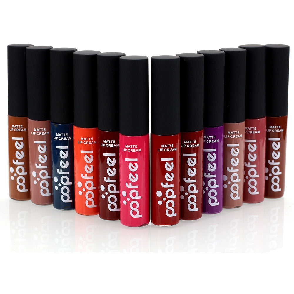 Popfeel Cosmetics Matte Liquid Lip Gloss Lip Gloss Nude Orange Lasting Lip Makeup