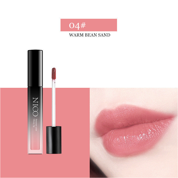 Nico Velvet matte lasting moisturizing beauty lip gloss