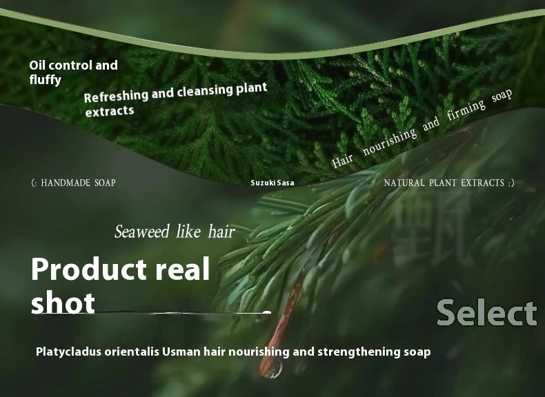 SUZUKI SASAKI Chinese Arborvitae Twig Shampoo Soap Handmade Soap Polygonum Multiflorum Hair Care