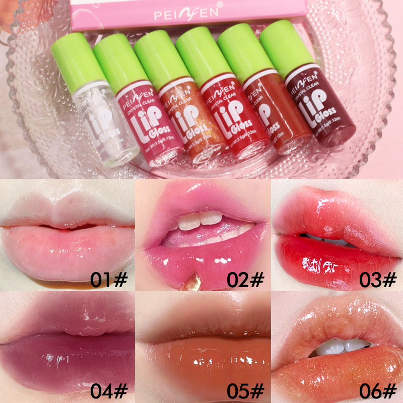 Peiyen Fat Lip Lacquer 6 PCs Set Box Mirror Moisturizing Full Lips