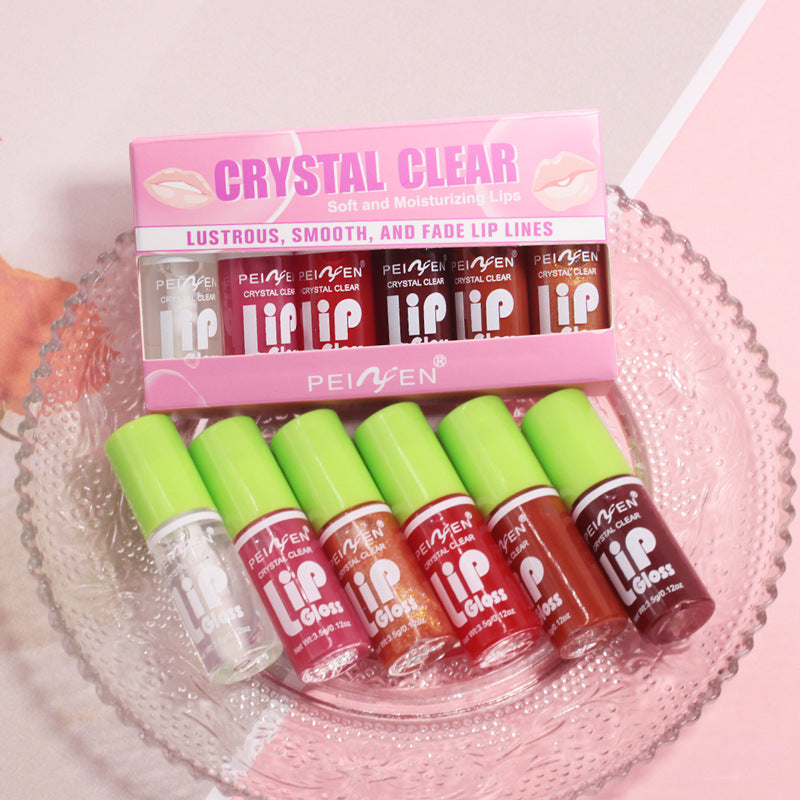 Peiyen Fat Lip Lacquer 6 PCs Set Box Mirror Moisturizing Full Lips
