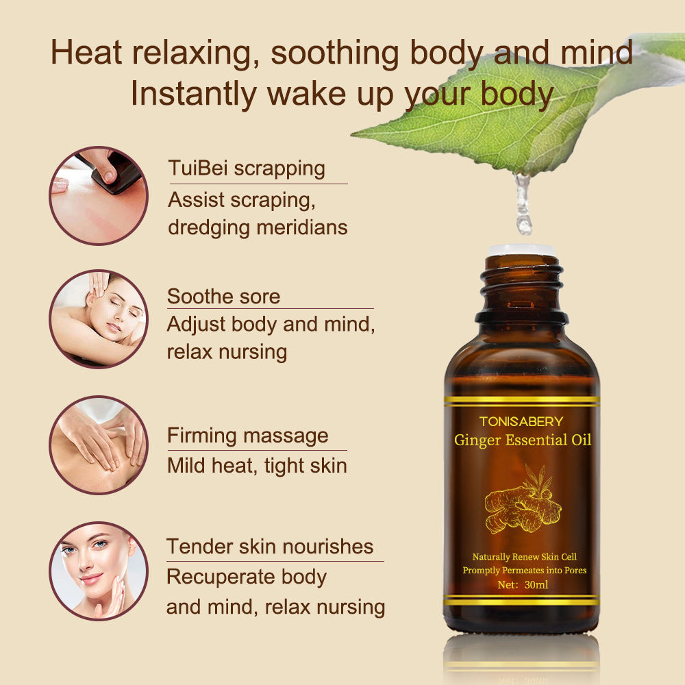 Tonisabery Beauty Skin Care Ginger Massage Essential Oil