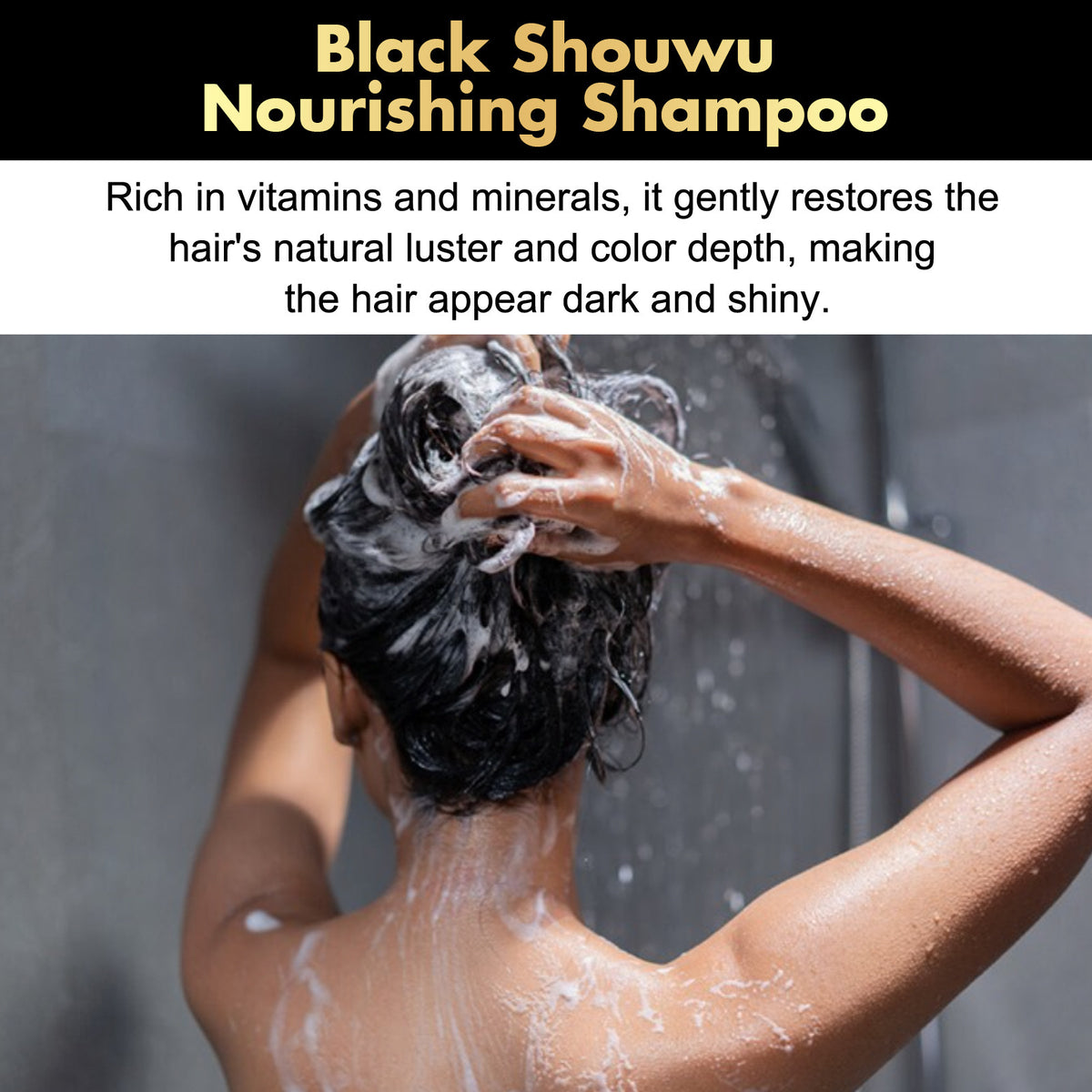 Eelhoe Black Ganoderma Lucidum Polygonum Multiflorum Shampoo