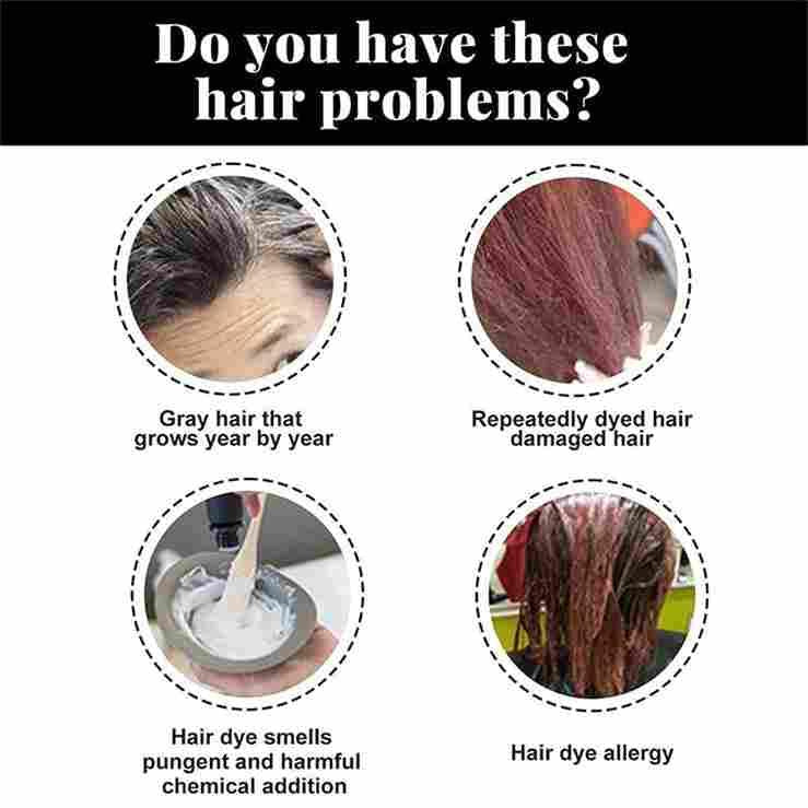 Plant Bubble Hair Dye Shampoo for Women and Man 100ML Pack of 1