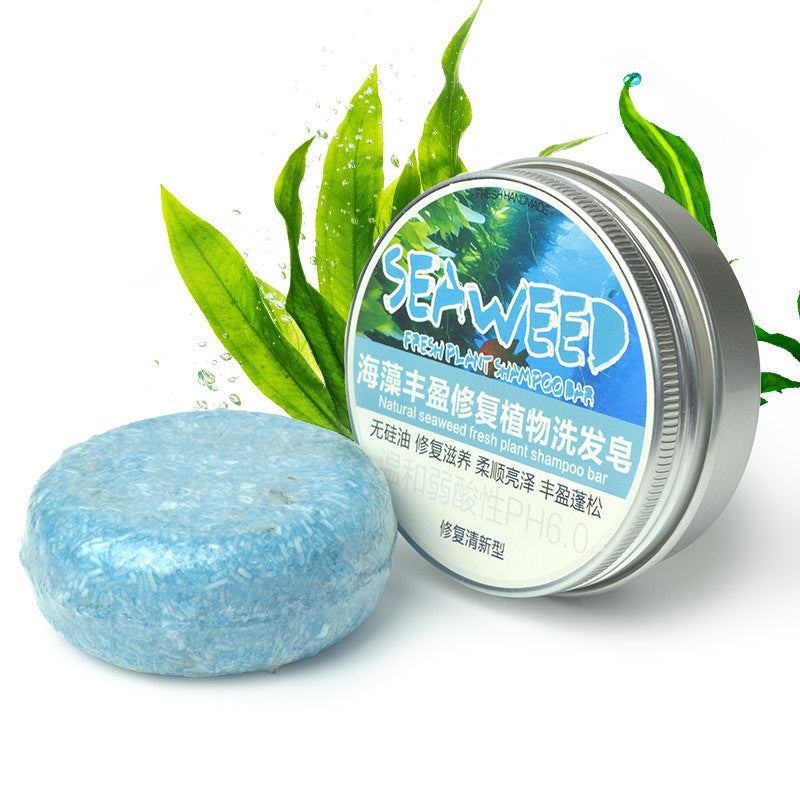 Fresh Handmade Ginger Skin Care Shampoo Conditioner Essential Oil Soap Nourishing