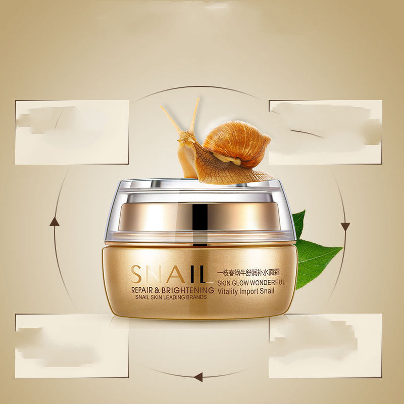 Snail Cream moisturizing and refreshing oil control creamCream moisturizing and refreshing oil control cream