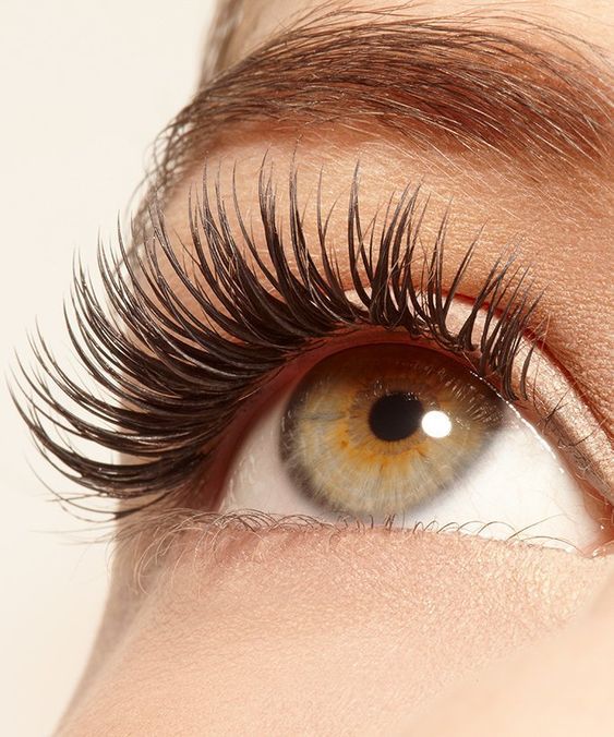 Phoera Women's Home Mascara 3g Cosmetics