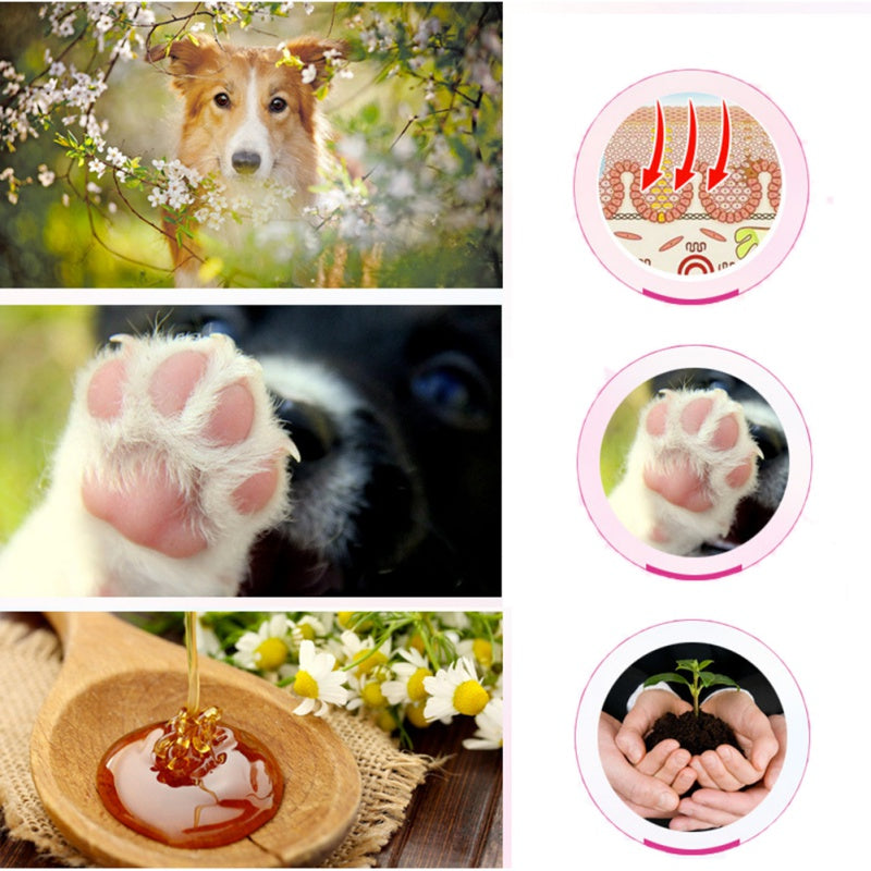 Petstwo Pet Foot Moisturizing Cream