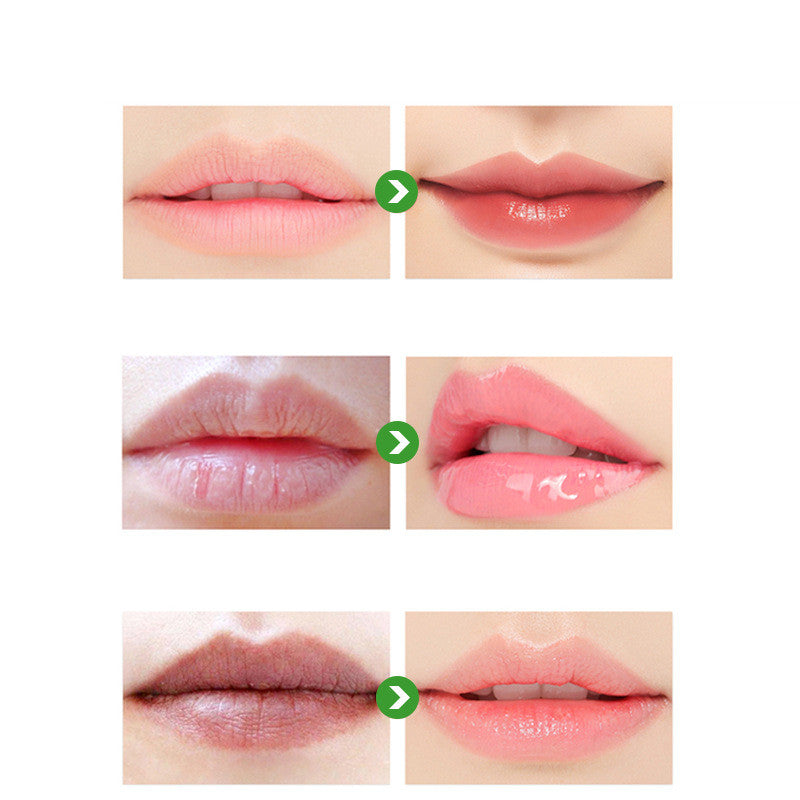 Kamile Natural Moisturizing Nourishing Lip Balm