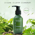 Pensly Tea Tree Shampoo Hair Care Moisturizing Moisturizing