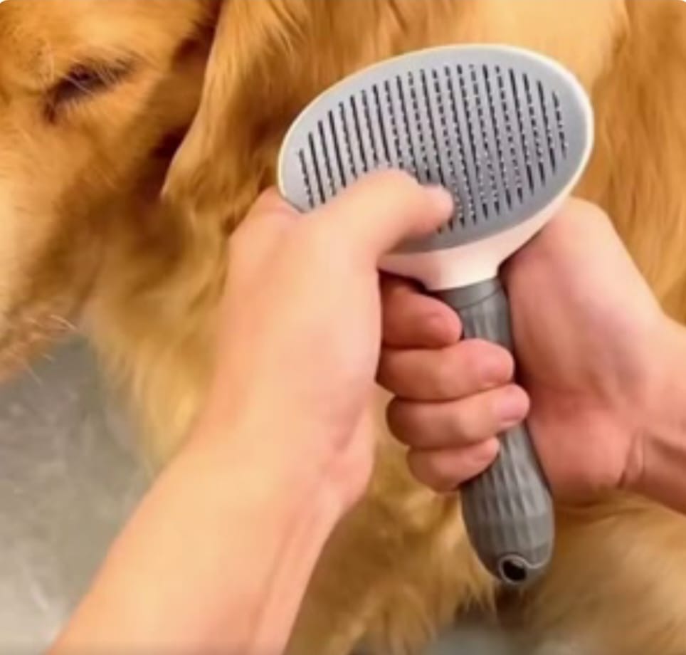 Pet Hair Remover Brush/Combs