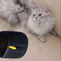 Pet Hair Removal Gloves ( Pack Of 1)