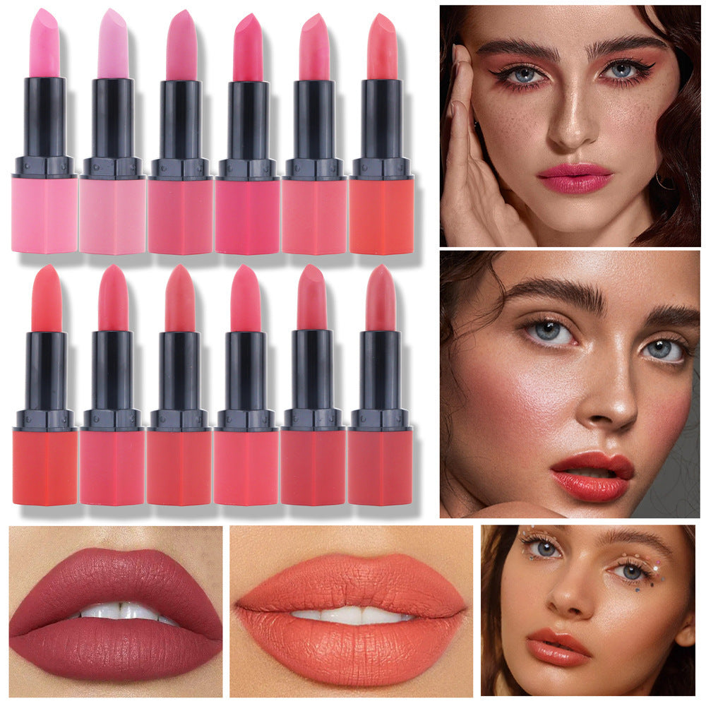 3Q Beauty Fashion Student Party Multicolor Nude Lipstick