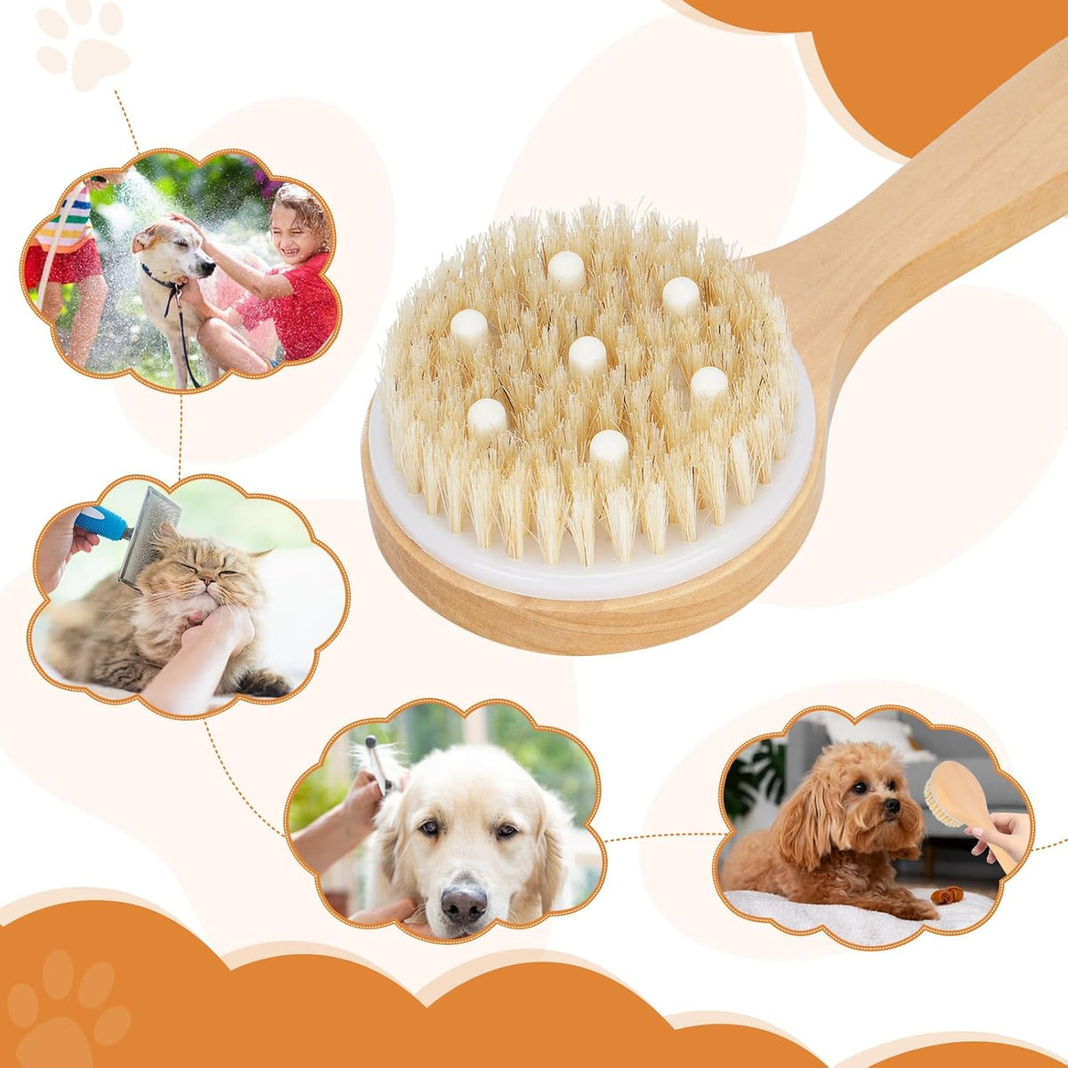 Pet Shampoo Brush With Massage Points Wooden Handle, And Natural Bristles For Dog And Cat Grooming