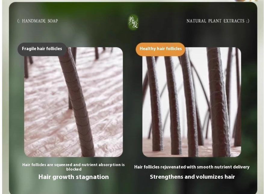 BosMan Oil Control And Dandruff Removal Soap Chinese Arborvitae Twig Shampoo