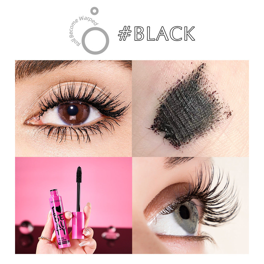 Shedoes Waterproof Thick Lengthened Not Smudge Large Capacity Four-color Mascara