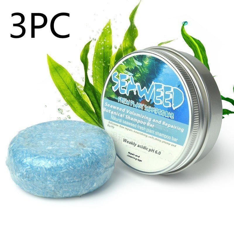 Fresh Handmade Ginger Skin Care Shampoo Conditioner Essential Oil Soap Nourishing