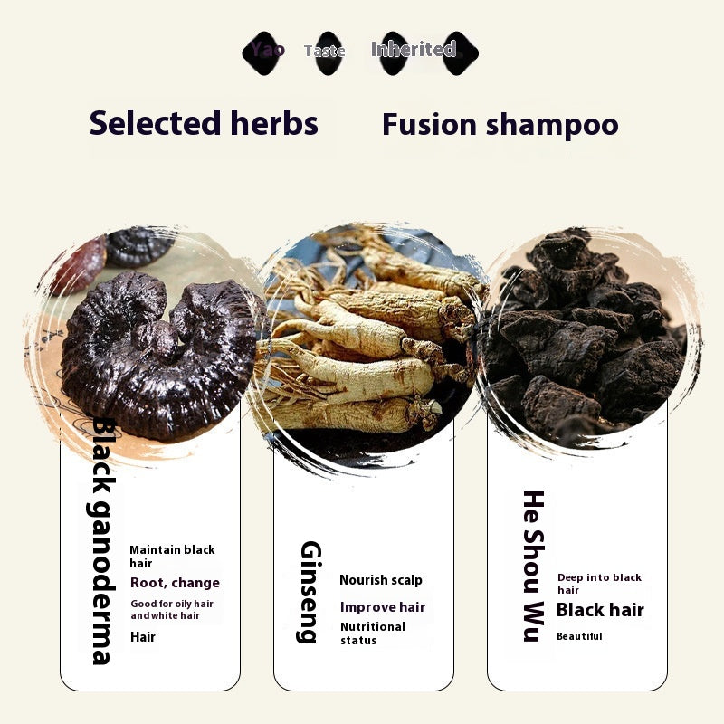 Yao Pin Black Ganoderma Lucidum Polygonum Multiflorum Hair Root Shampoo