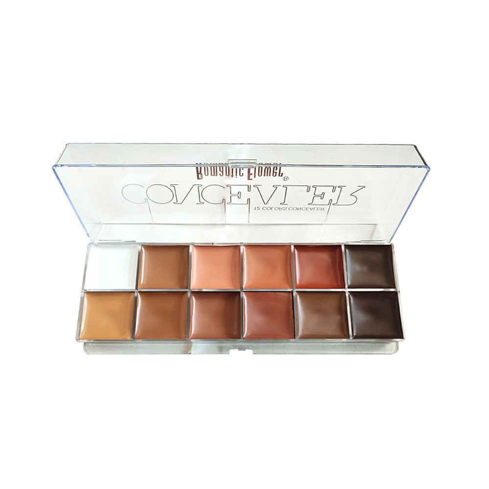 Romentic Flower 12 Colors Concealer Dark Skin Waterproof Full Coverage Foundation