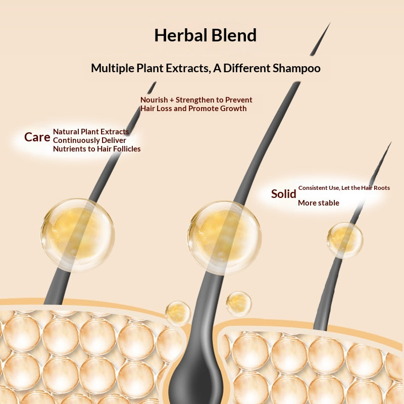 Oil Control Volumizing Anti-Hair Care Shampoo