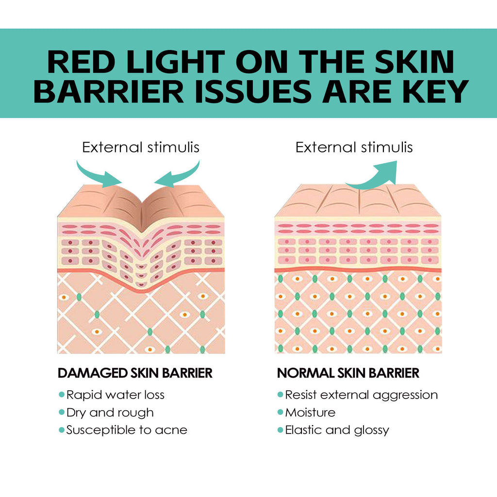 Nourishing Moisturizing Skin Rejuvenation Skin Cream Skin Brightening Brightening Hydrating Easy Absorption Cream